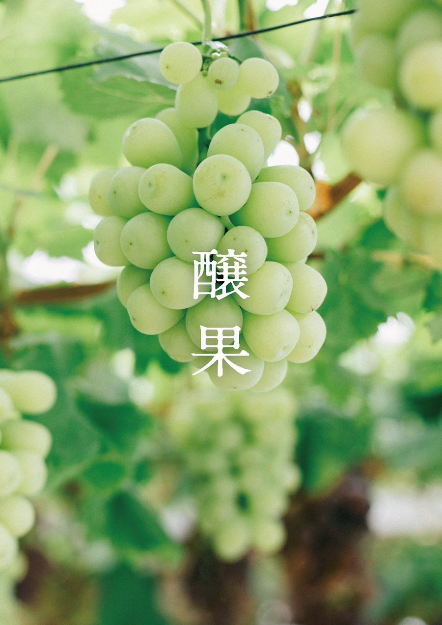 久福ブルーイング本島 醸果-マスカットジパング-2025