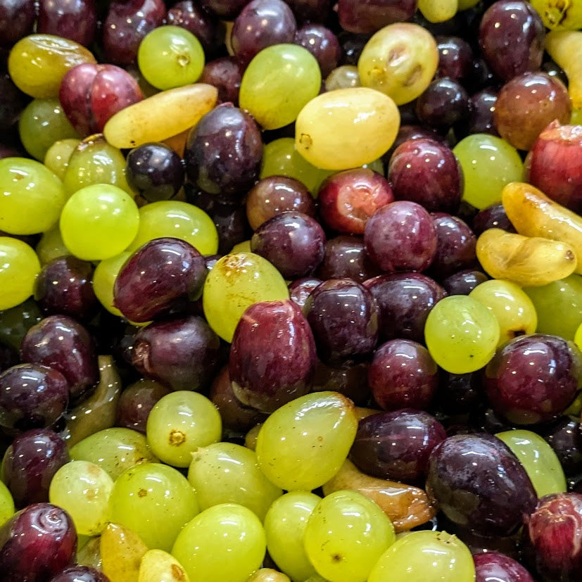 久福ブルーイング本島 醸果-6 grapes sour-2025