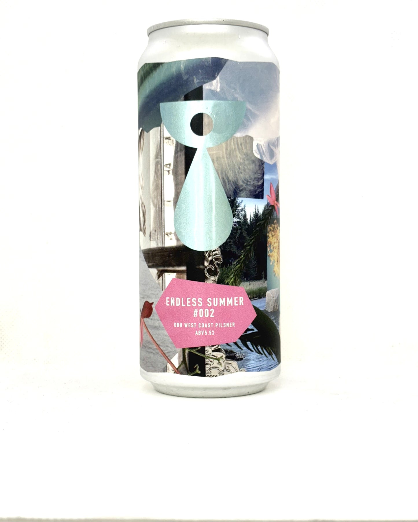 Teenage Brewing Endless Summer #002