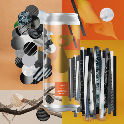 Teenage Brewing Serendipity