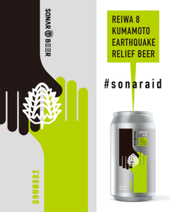 Teenage Brewing Sonar Aid