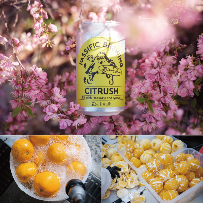 Passific Brewing Citrush – クラフトビール専門の酒屋 成島商店 Passific Brewing Citrush – クラフトビール専門の酒屋 成島商店