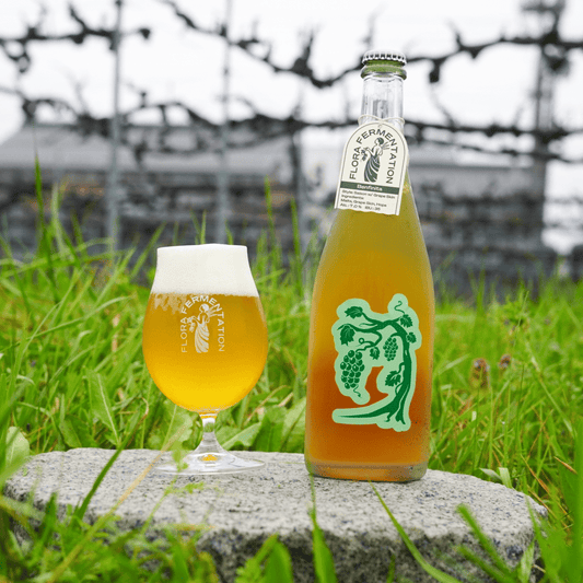 FLORA FERMENTATION Benfinita