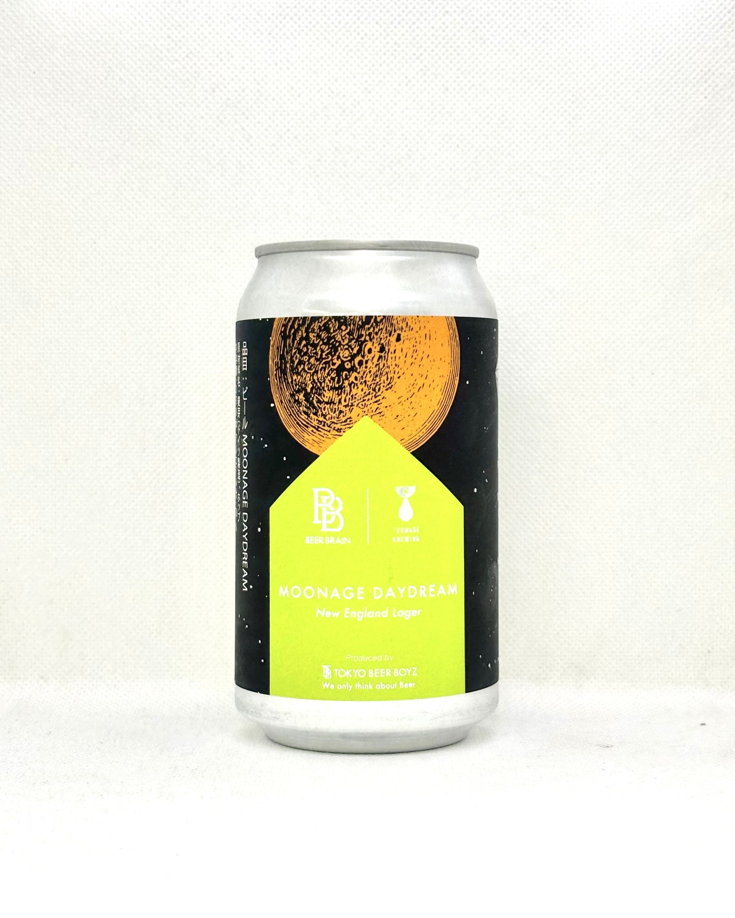 BEER BRAIN MOONAGE DAYDREAM